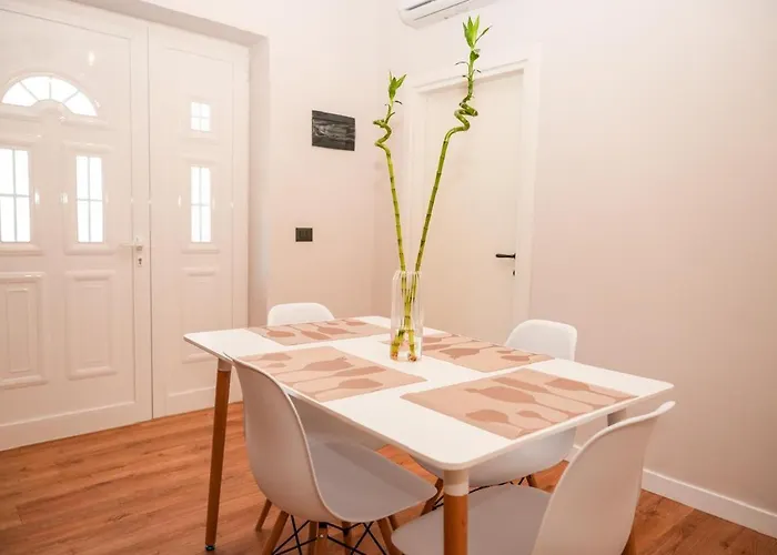 Bougainvilla * Tirana