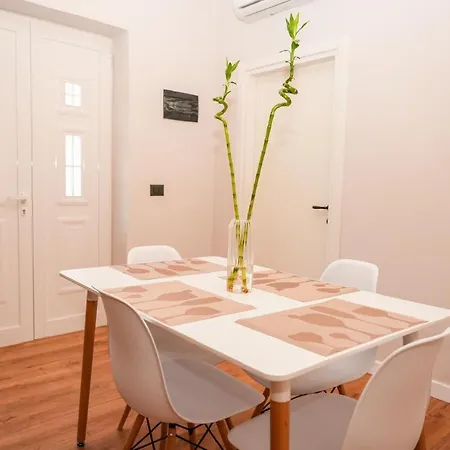 Bougainvilla * 地拉那